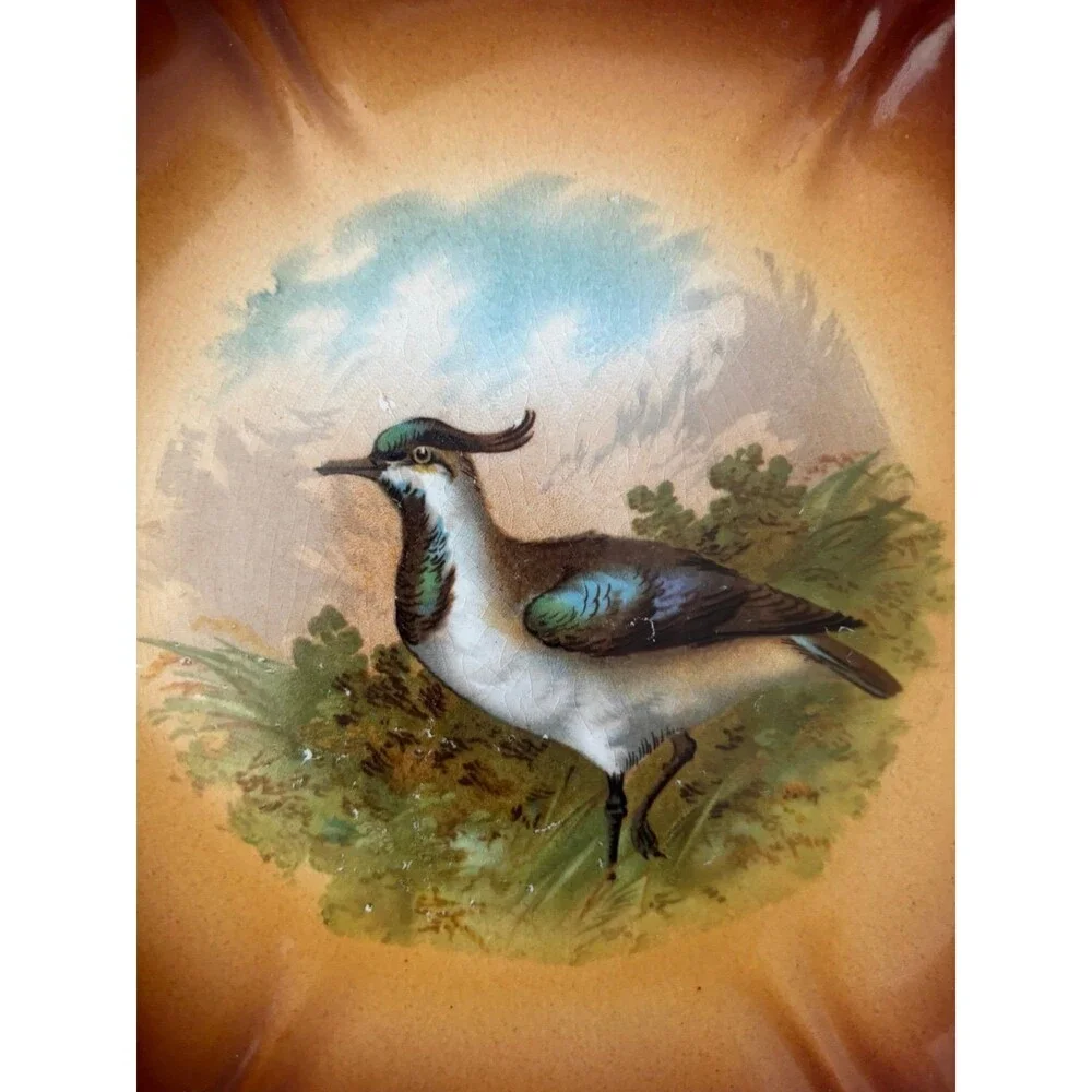Antique Franz Anton Mehlem Bonn 10” Bird Wall Plate German Porcelain Lapwing
